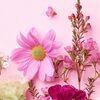 lovelife11224